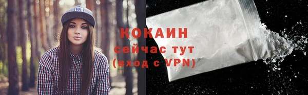 меф VHQ Дмитриев