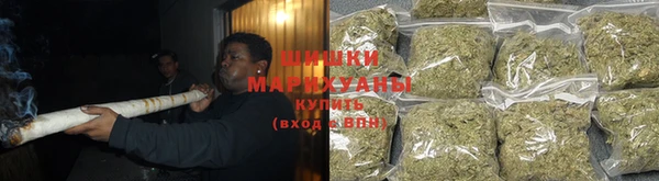 шишки Дмитров