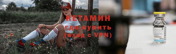 шишки Дмитров