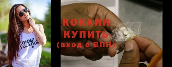 шишки Дмитров
