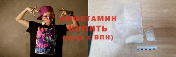 шишки Дмитров