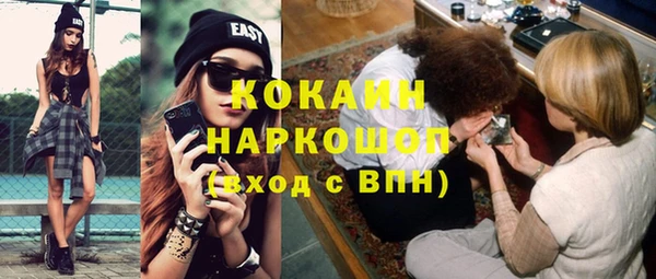 шишки Дмитров