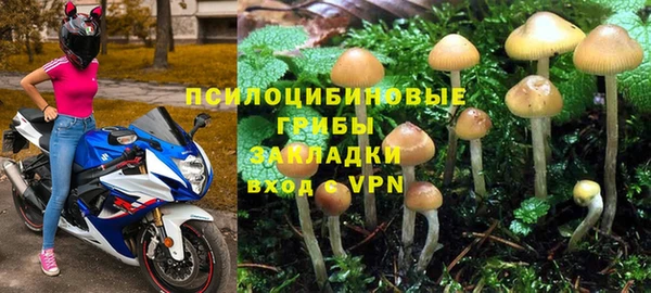 меф VHQ Дмитриев