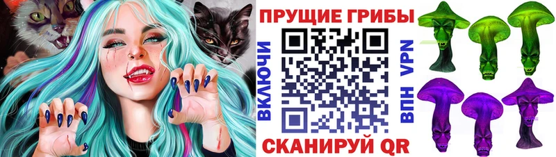Псилоцибиновые грибы Magic Shrooms  Заволжье 