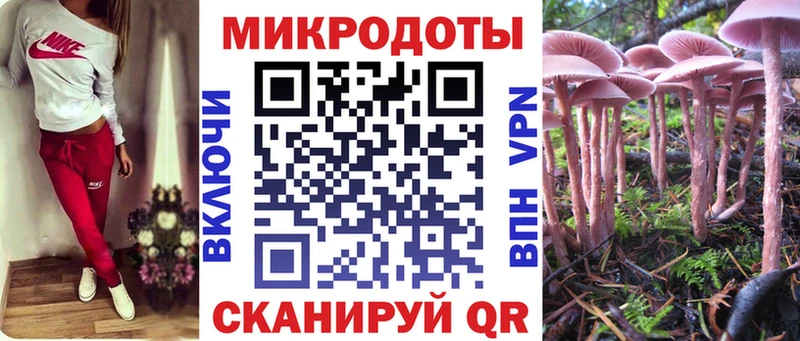 Галлюциногенные грибы GOLDEN TEACHER Заволжье