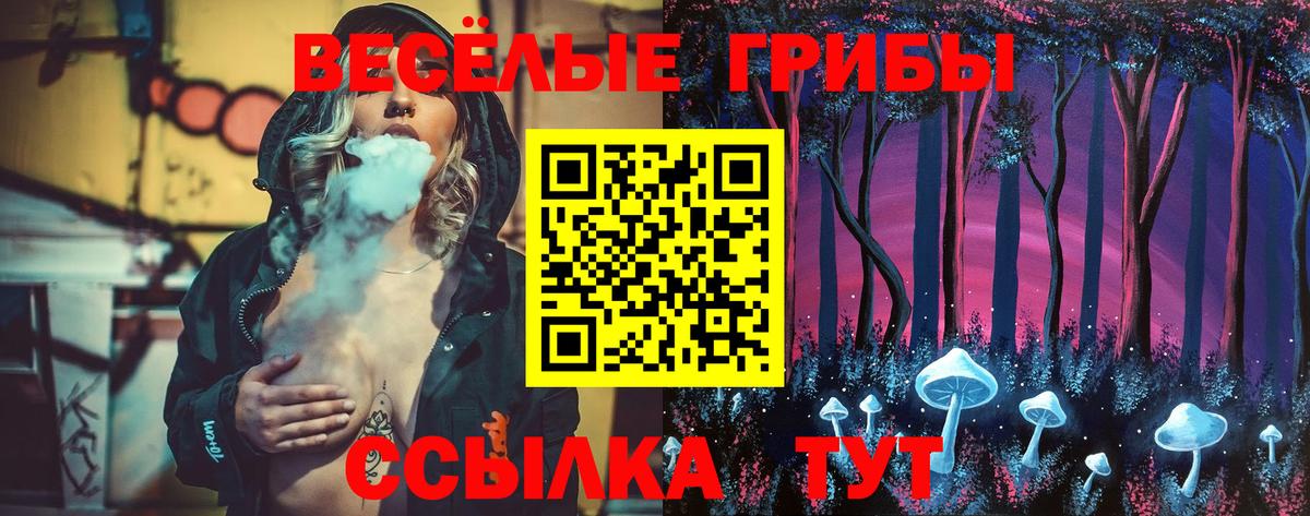 Галлюциногенные грибы MAGIC MUSHROOMS  Галлюциногенные грибы прущие грибы  Заволжье  Вход с VPN 